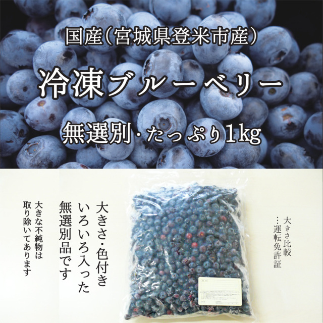 訳あり・冷凍ブルーベリー 無選別 1kg