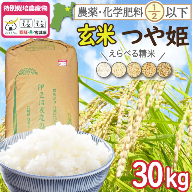 つや姫 宮城県産 30kg 玄米 令和5年度