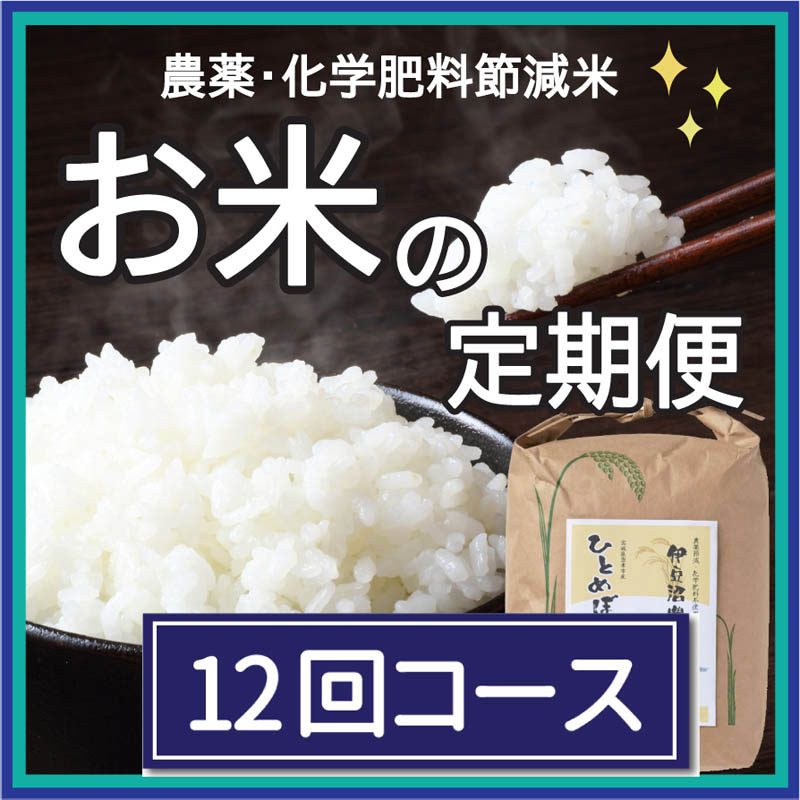 お米の定期便3?×6回