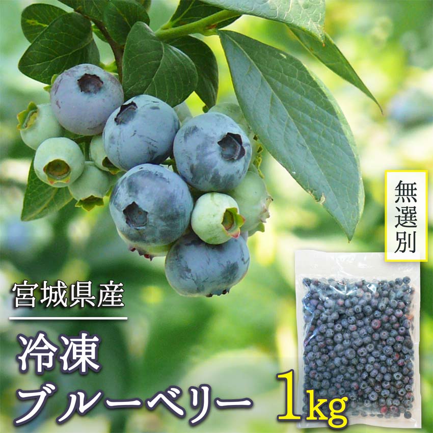 無選別　冷凍ブルーベリー　1kg