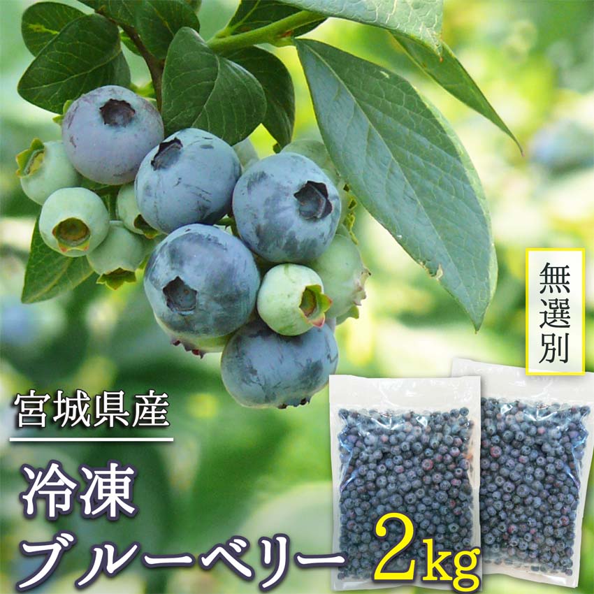 冷凍ブルーベリー