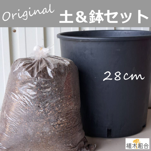 鉢 土 セット ナーセリーポット 植木組合