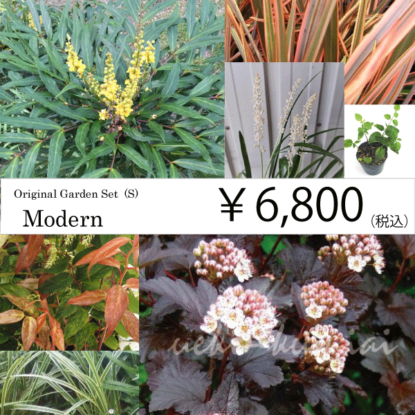 ガーデンセット　新モダン