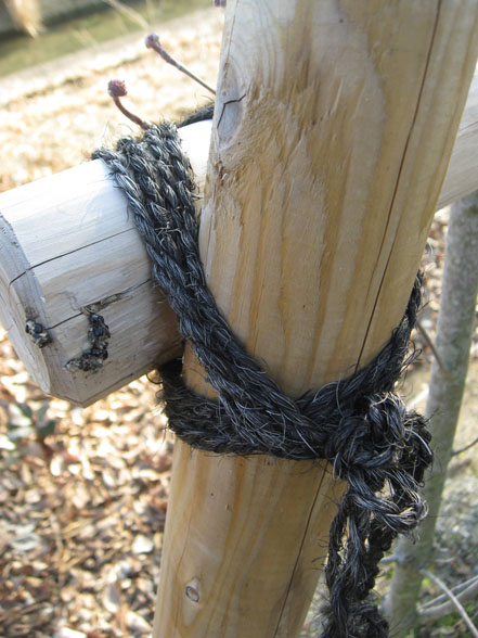 シュロ縄　杉テープ　使用例　しゅろなわ　すぎてーぷ　植木組合