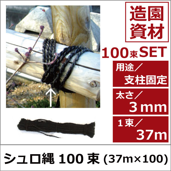 支柱　固定　園芸　シュロ縄　植木組合　緑化資材　卸 ロープ