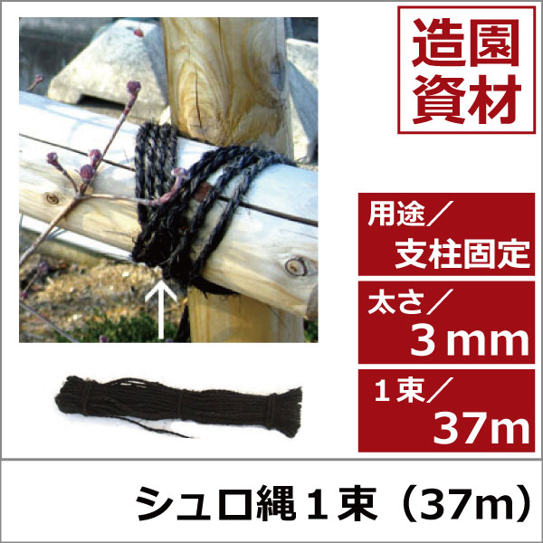 支柱　固定　園芸　シュロ縄　植木組合　緑化資材　卸 ロープ
