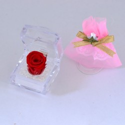 [クリスマス限定] 赤い バラ プリザーブドフラワー ミニドレス（ポーチ）付 クリスマスラッピング済 ギフトセット y150396