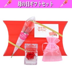 母の日 プレゼント 赤いバラ (ミニ) プリザードフラワー と ミニエプロンドレス（ポーチ） ギフトセット 贈り物　（お母さんありがとうメッセージカード付） y160354