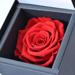 赤い薔薇 プリザーブドフラワー ダイヤモンドローズ y160355