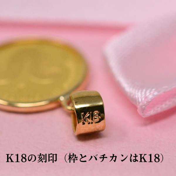 2025年 限定 干支 巳年 コイン 蛇 ヘビ Snake Coin コイン ペンダント