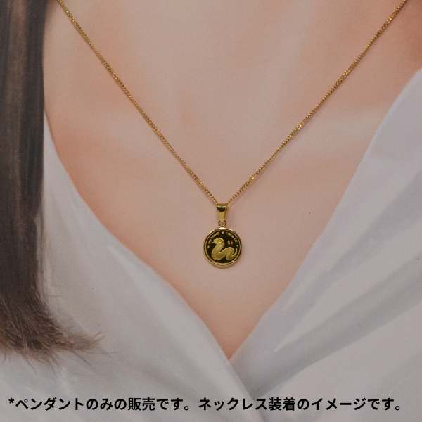 2025年 限定 干支 巳年 コイン 蛇 ヘビ Snake Coin コイン ペンダント 