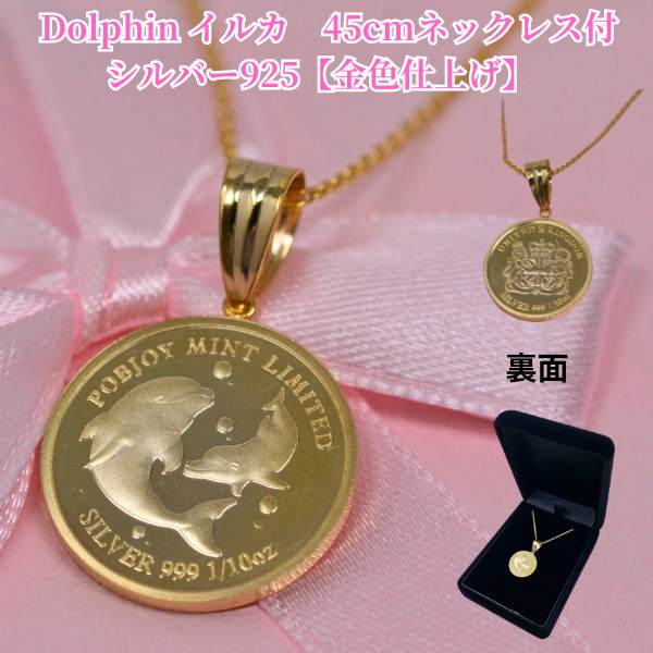 イルカ ドルフィン Dolphin コイン シルバー 1/10オンス ネックレス 