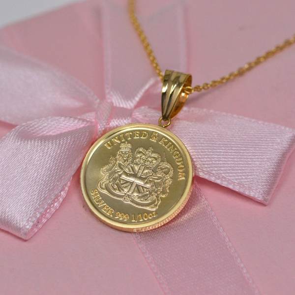 イルカ ドルフィン Dolphin コイン シルバー 1/10オンス ネックレス