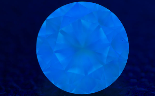 ベリーストロングブルー蛍光性