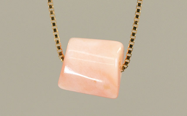 エンジェル・スキン・コーラル (本ボケさんご)画像