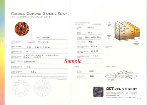 鑑定書（グレーディングレポート）イメージ画像