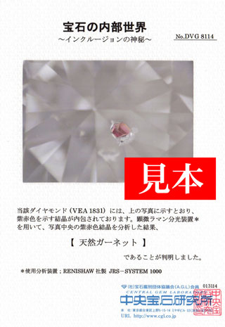 「グレーディング・レポート(鑑定書)または鑑別書」 + 「宝石の内部世界等」