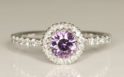 パープルサファイヤ(パープル・サファイア) 0.61ct Pt900(プラチナ900) リング(指輪) 【 中央宝石研究所 鑑別書付 】 【 送料無料 】