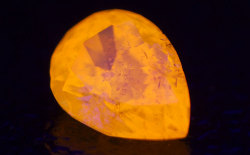 蛍光性オレンジダイヤ