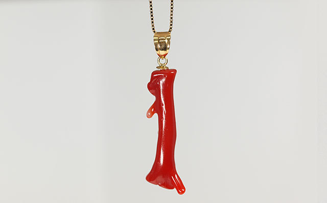 ムシクイ珊瑚(虫食いサンゴ)・枝珊瑚(えださんご)・レッドコーラル(赤