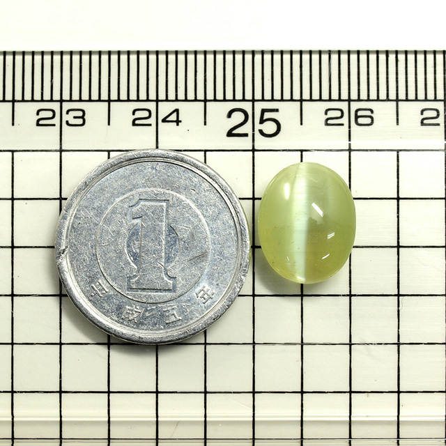 クリソベリル・キャッツアイ ルース (裸石) 6.515ct 【 8月3日/10月5日 