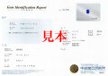 鑑別書