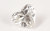 ダイヤモンドルース