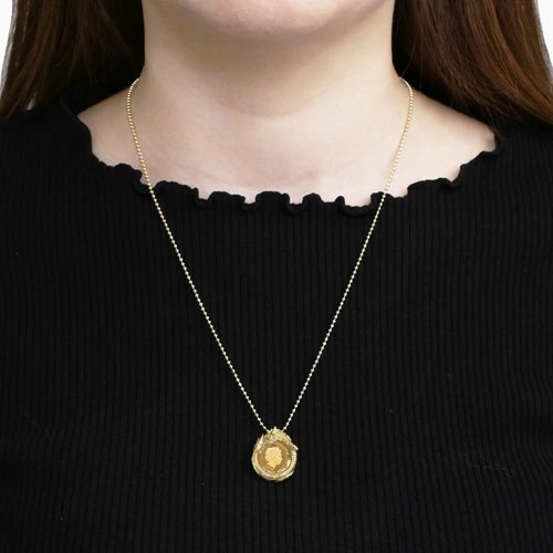 干支 タツ 辰 リアル ドラゴン 龍 コインペンダント アクセサリー