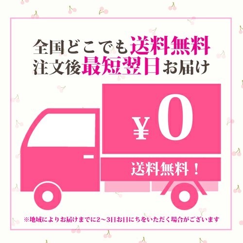 送料無料】開運招福 SV925製 お守り 13g ドラゴン 龍 ペンダント 地金