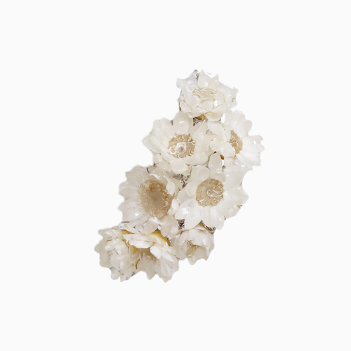 【送料無料】天然素材 ドライフラワー グリクシア 白 シック お花 フラワー イヤーカフ イヤリング イヤークリップ 片耳用 女性 レディース 6346-LL25