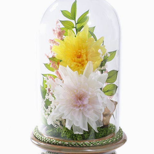 枯れない花 プリザーブド・フラワー お供え ガラスドーム 桐箱入り 仏花　緑台 7780-LL21