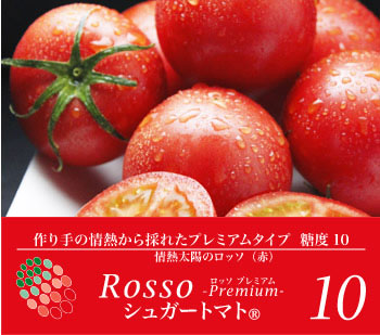 送料無料】シュガートマト糖度10ロッソプレミアム【約0.8～1kg（12～20