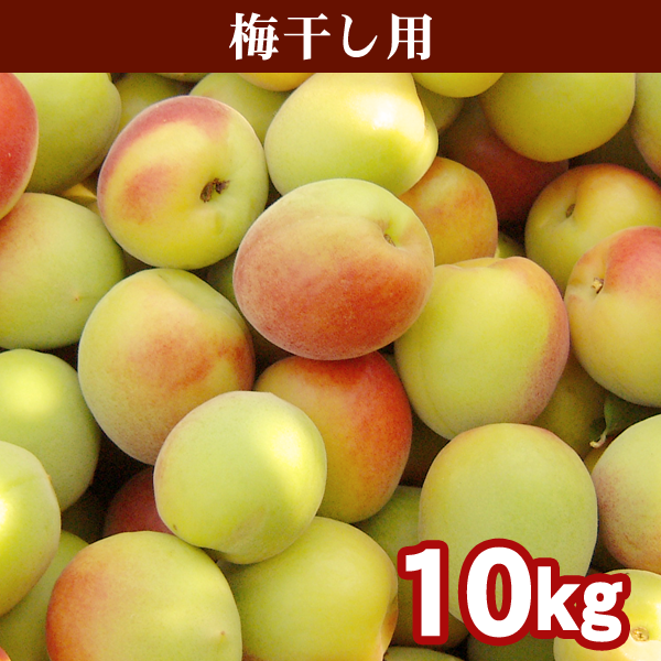 紀州南高梅 追熟梅 優品・良品 2L・3L 10kg 送料込み 送料無料】＜