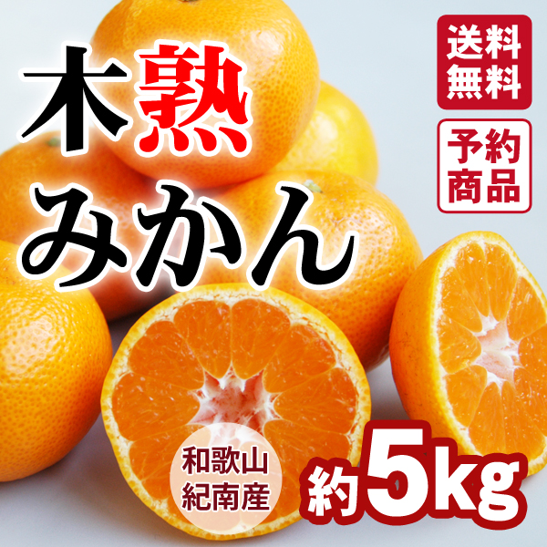 和歌山県産　完熟南高梅‼️２Ｌ～Ｌサイズ混合‼️５kg　みかんキング Amazon | 和歌山県産 南高梅(完熟梅）約5kg 大粒の3Lサイズ以上