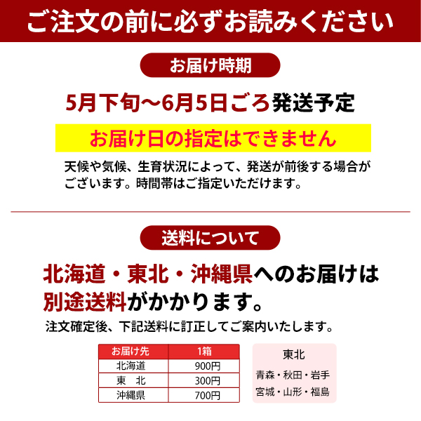ご注文の前にお読みください　南高梅(青)