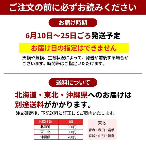 ご注文の前にお読みください　南高梅(黄)