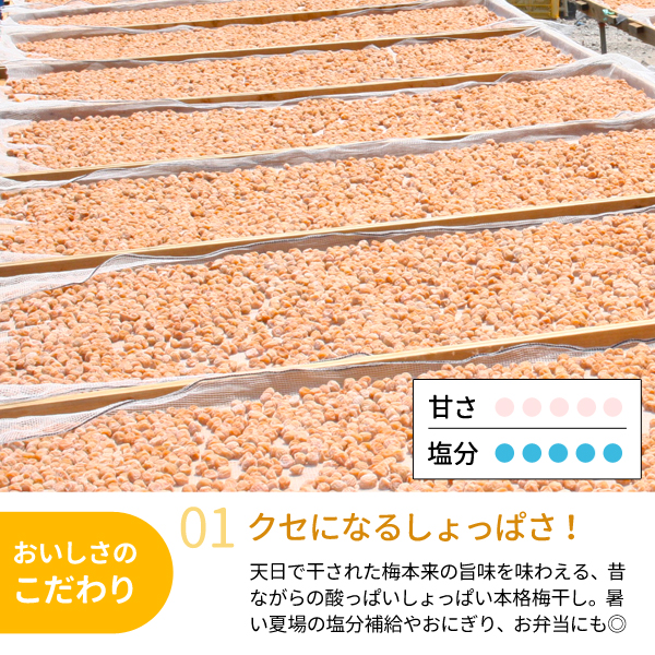 家庭用　昔ながらのしょっぱい白干し小梅