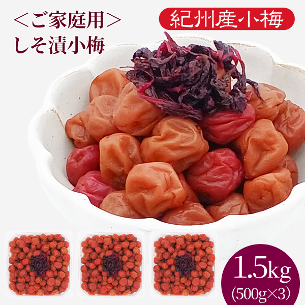 しそ漬小梅 500g 塩分13％ 紀州梅干し・みかんのJAわかやま(紀南)