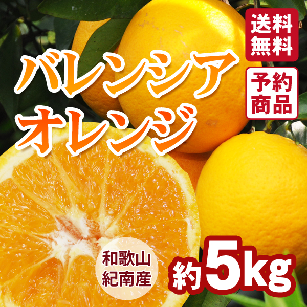 みかんページ 和歌山県 紀南地方のみかん