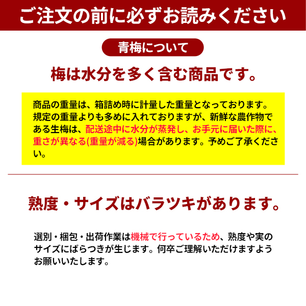 ご注文の前にお読みください　南高梅(青)