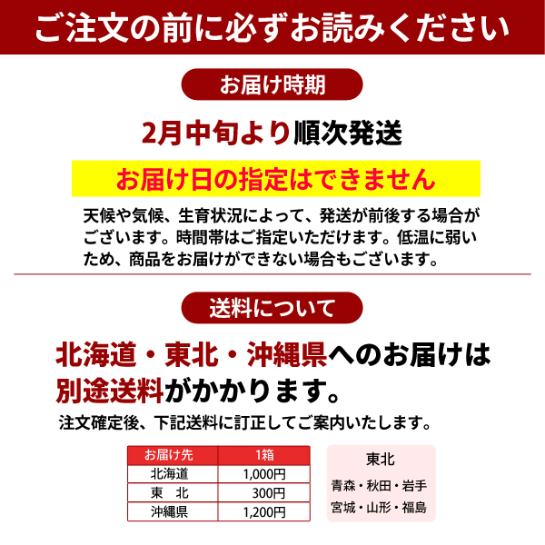 ご注文の前にお読みください　木熟デコポン3kg