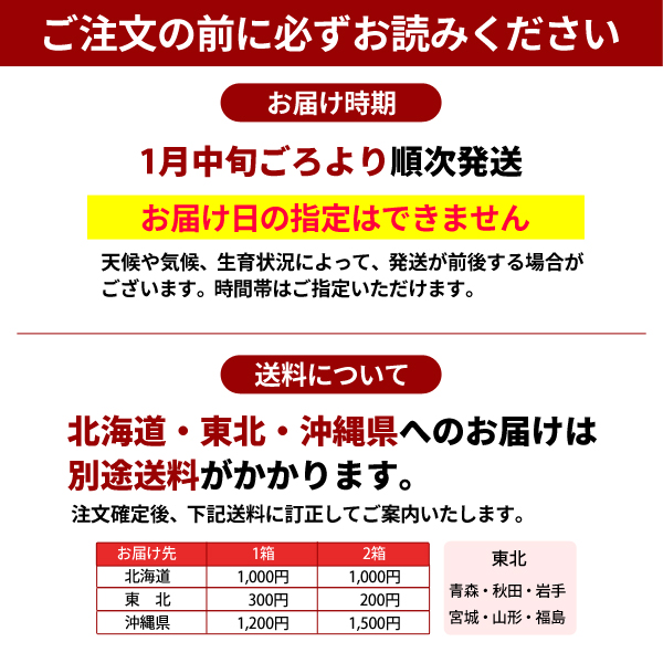 ご注文の前にお読みください　越冬木熟みかん