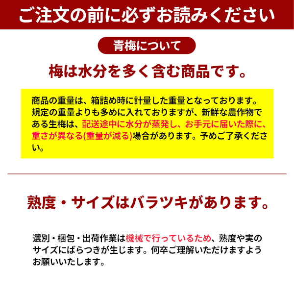 ご注文の前にお読みください　古城