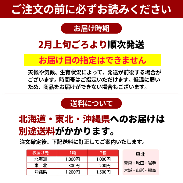 ご注文の前にお読みください　はるみ