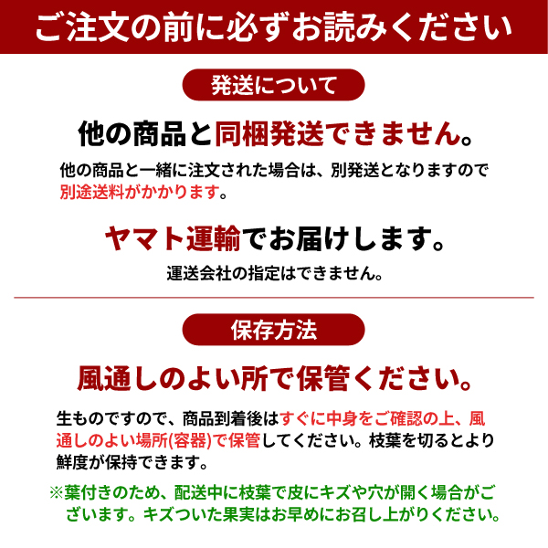 ご注文の前にお読みください　カラマンダリン