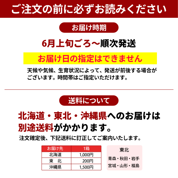 ご注文の前にお読みください　南高梅(黄)