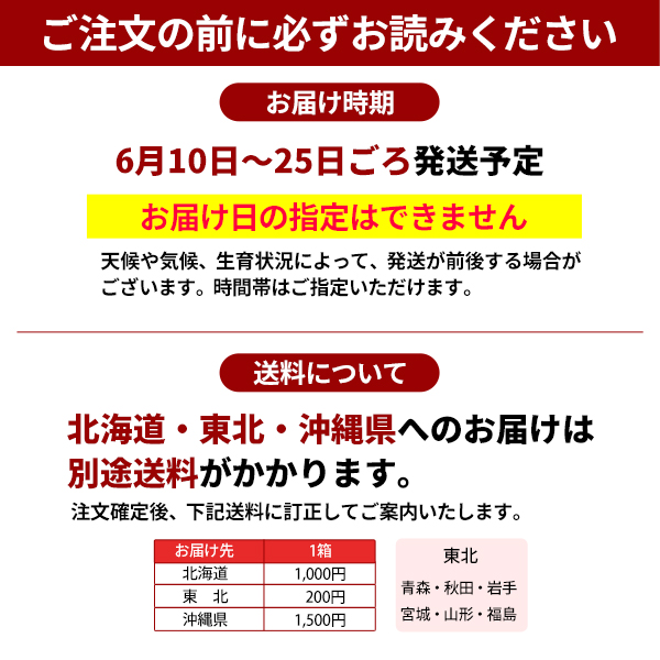 ご注文の前にお読みください　南高梅(黄)