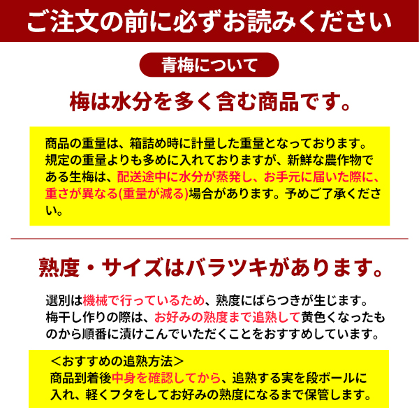 ご注文の前にお読みください　南高梅(黄)