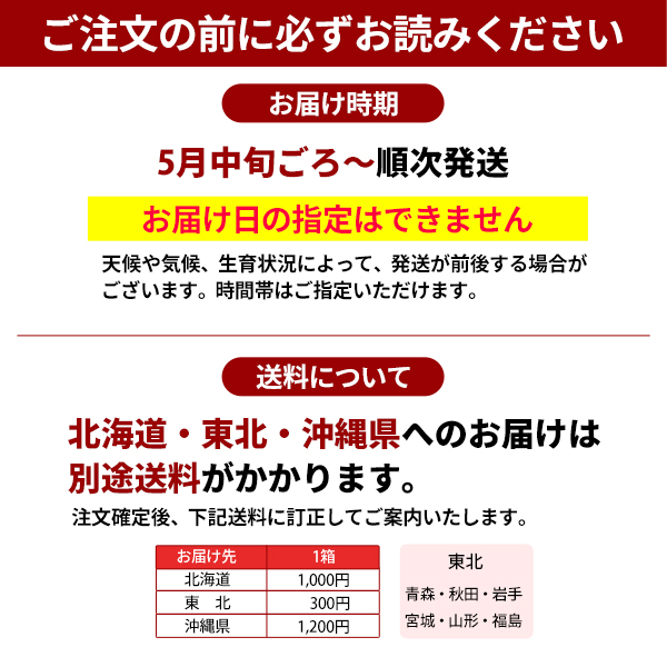 ご注文の前にお読みください　小梅