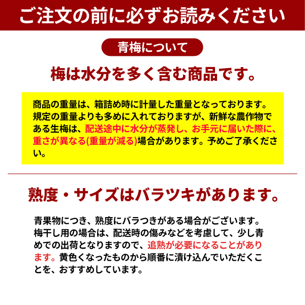 ご注文の前にお読みください　小梅